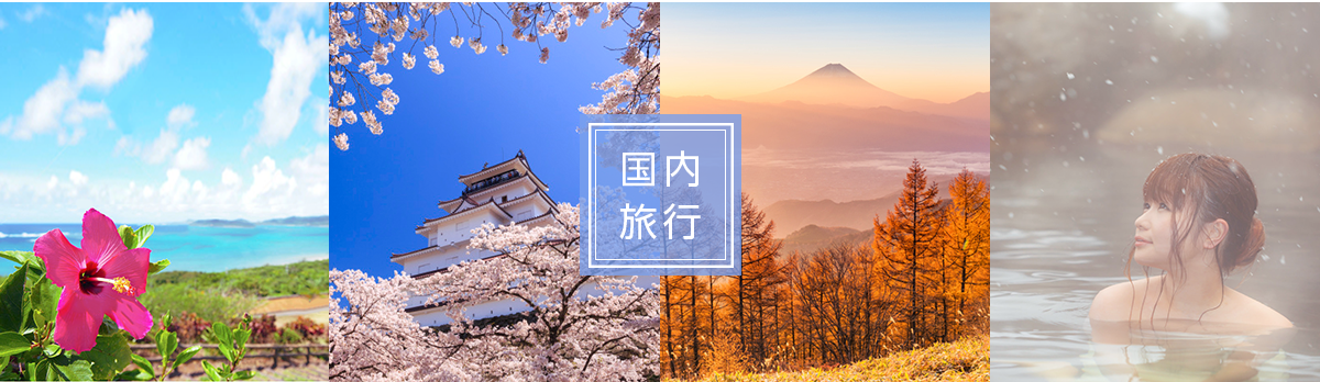 kokunairyoko_image kokunairyoko_image1